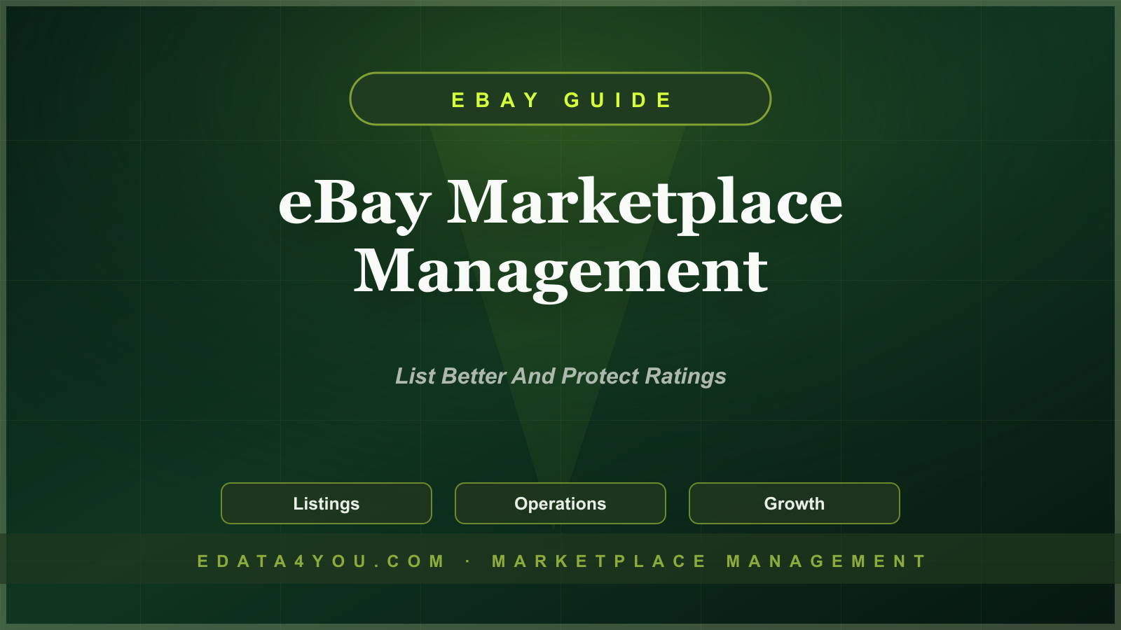 eBay Marketplace Management Guide: Listings, Pricing, Seller Ratings, and Growth