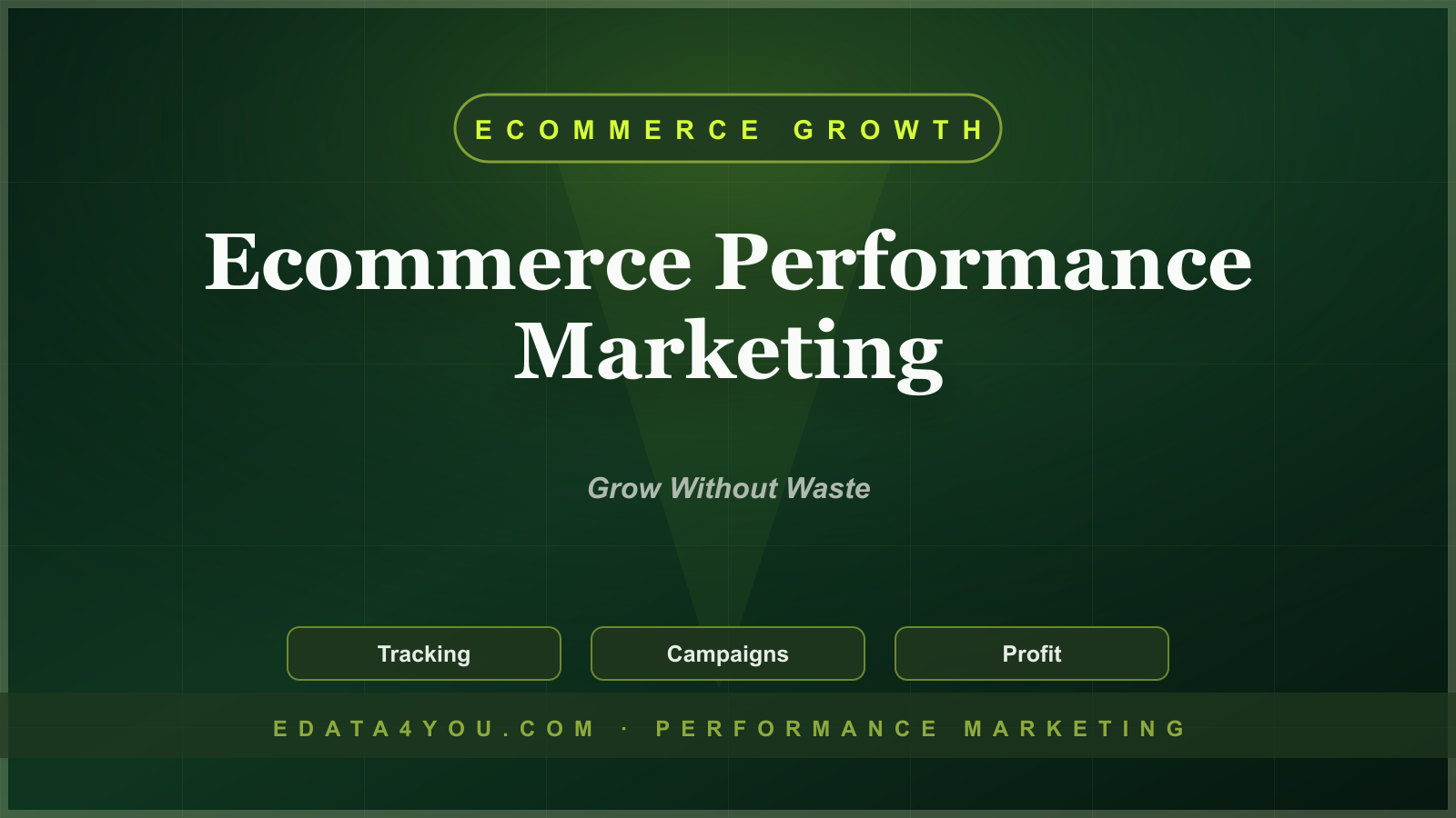 Ecommerce Performance Marketing Guide: Paid Growth Without Wasting Budget