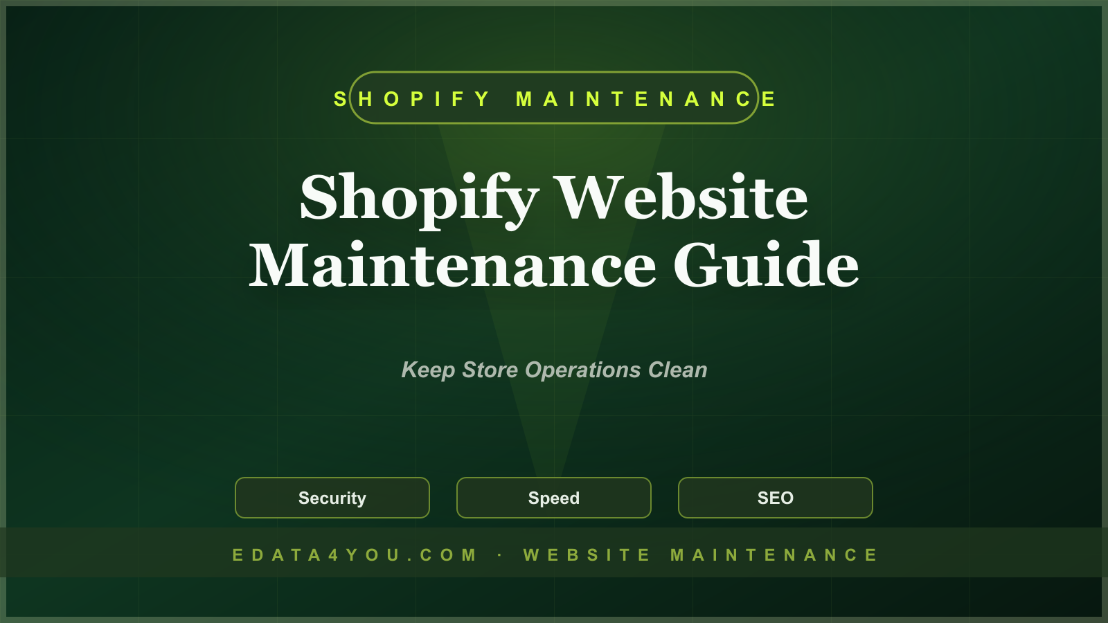 Shopify Website Maintenance Guide: Apps, Speed, Products, SEO, and Checkout