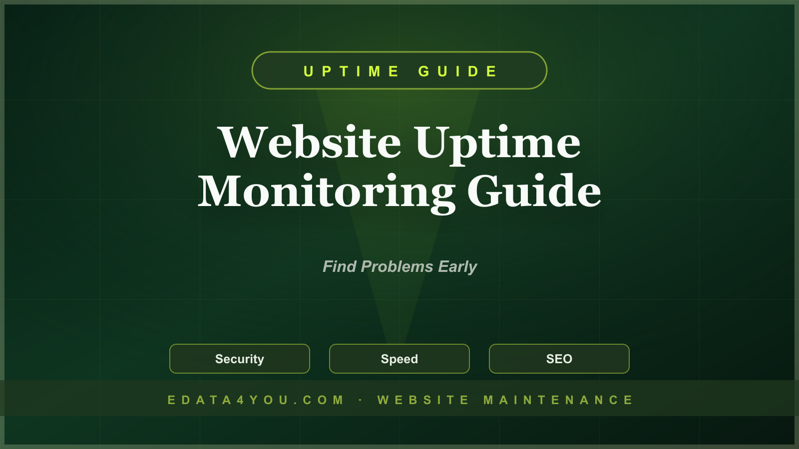 Website Uptime Monitoring Guide: Detect Downtime Before Customers Do